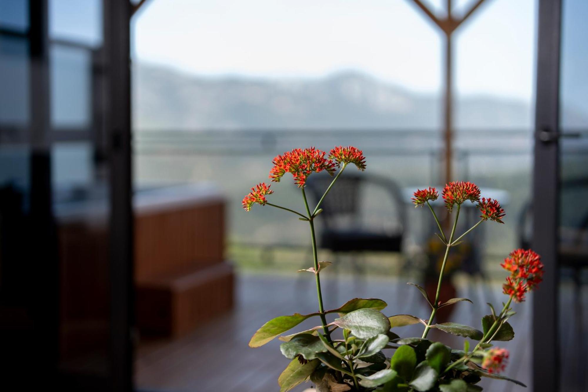La Veranda Villas Kumluca Exteriör bild