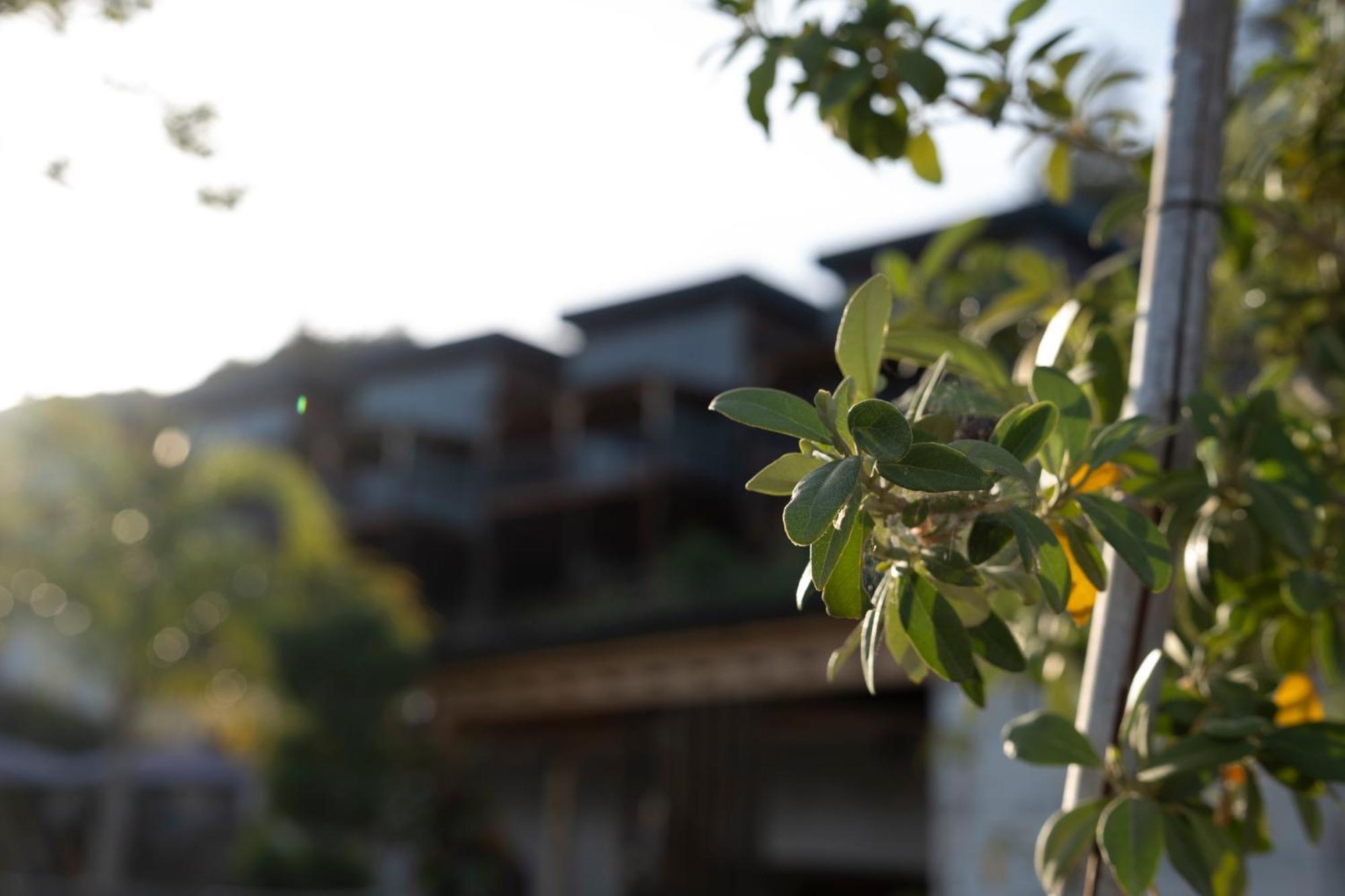 La Veranda Villas Kumluca Exteriör bild